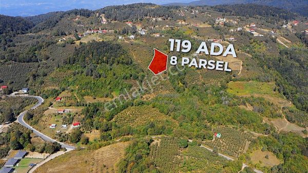 Sakarya Hendek Karadere Köy Merkezınde Satılık Fındıklık