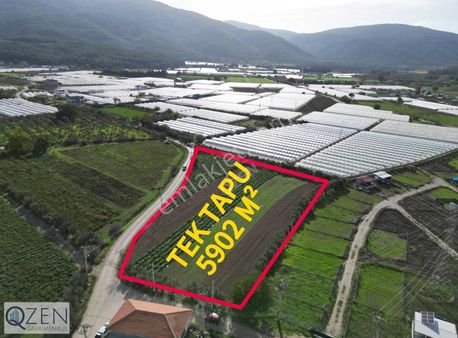 Q'zen Den Degirmenderede 5902 M² Tek Tapu Tarla