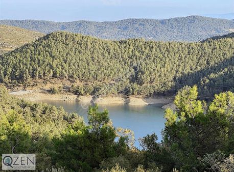 Qzen'den Yeniköy'de Balaban Gölet Manzaralı 29.142 M2 Zeytinlik