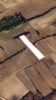 Emlakyap Tan Kırklareli Kavaklı Da 3450 M2 Satılık Tarla