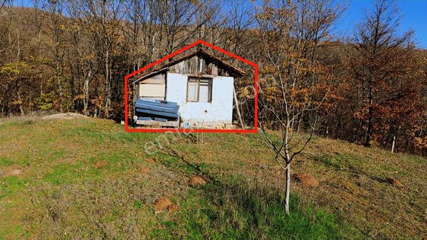 13dönüm Ceviz Bahçesi Tamamı Bu Fiyata İçerisinde Ev+su+yol