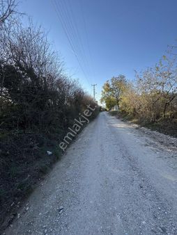 Muğla Menteşe Düğerek Secenin En Güzel Yolunda 3.714 M2 Satılık