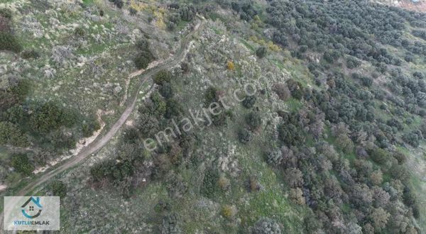 Bozyurt Mevki Eycellide 5,5 Dönüm Kelepir Bahçe