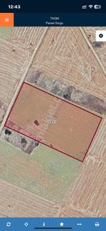 Kavak Mahallesinde Satılık Tarla Pazarlık Var