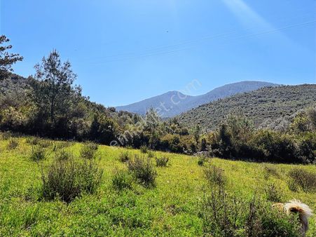 Muğla Milas Hasanlar Da 6057 M2 Kampıng Alanlarına Bitişik Arazi