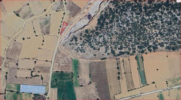 Asya Evim Emlaktan Uygun Fiyata Satılık Tarla