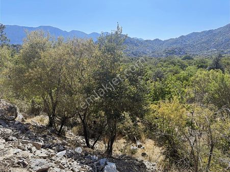 Antalya İbradı Aşağı Mahalle Satılık Arsa