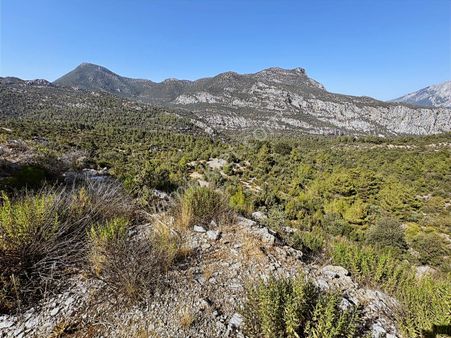 Antalya İbradı Aşağı Mahalle Çotak Mevkii Satılık Tek Tapu Tarla
