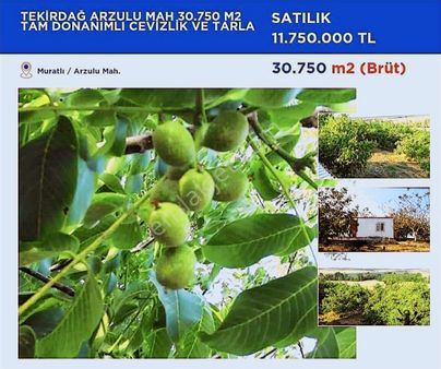 Remax Land Tekirdağ Muratlı Arzulu Ceviz Bahçesi