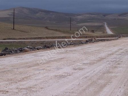 Keloğlan Mevkisinde 8.304m2 Müstakil Tek Tapulu Tarla