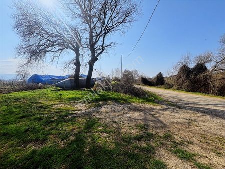 Pw Plustan Araç Takasına Uygun Akçalarda Yol Kenarı Asfaltacephe