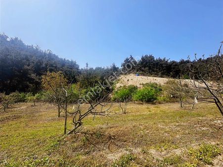 Pw Plus'tan Mudanya Dereköy'de Satılık Tarla