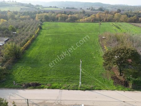 Pw Plus'tan Mustafakemalpaşa Derekadıda Yola Cephe Satılık Tarla