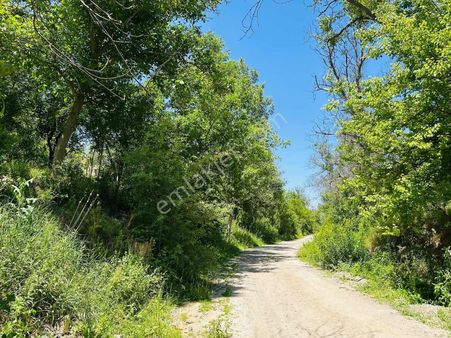 Koramaz Vadisinde 678m2 Yola Sıfır Satılık Bahçe