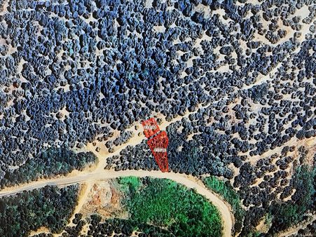 Balıkesir Bandırma Edincik Mahallesinde Yola Cepheli Arazi