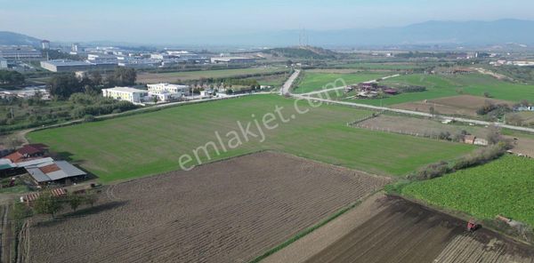 İzmir / Tire Osb 28.595m2 Fırsat Tarla - Tarım Depo Alanı Kullanıma Uygun