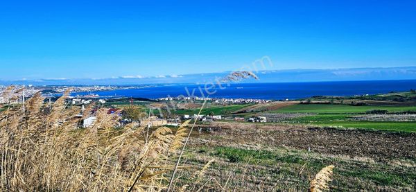 Full Deniz Ve Doğa Manzaralı 4 Adet Lüxs Villa Projeye Uygun Villa Imarlı Arsa