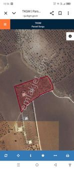 Güzel Emlak Tan Müstakil Tek Tapu