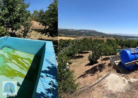 Çomar Barajı Manzaralı Bağ