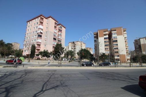 Pendik Kurtköy Yenişehir Mah Petekçiler Sit Kiralık Arakat Daire