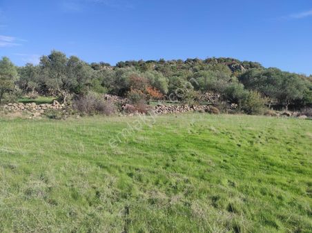 Uzun Gayrimenkul&emlak 'tan Karakılınçlı'da 17 Dönüm Tarla