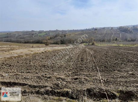 Kandıra Şerefsungur'da 2.424 Mt2 Caddeye Sıfır Satılık Arsa