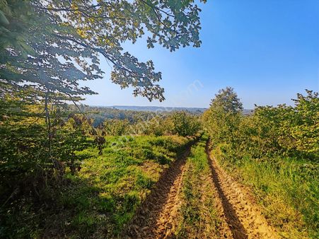 Turyap'tan Kandıra Sarı Ahmetlerde 14,709 M2 Satılık Fındıklık