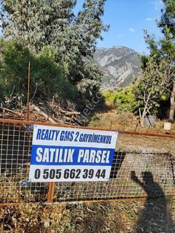 Köyceğiz Yangı Da Tek Tapu Satlık Naranciye Bahçesi