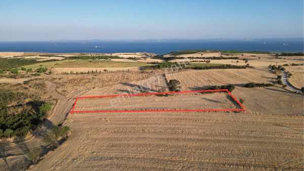 Şarköy Kocaali Mh. Deniz Manzaralı 3.012 Metre Tarla Satılık