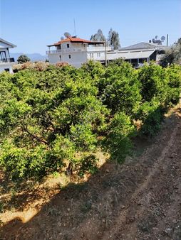 Köyceğiz Yeni Mahallede %20 İmarlı 500 M2 Satlık Arsa