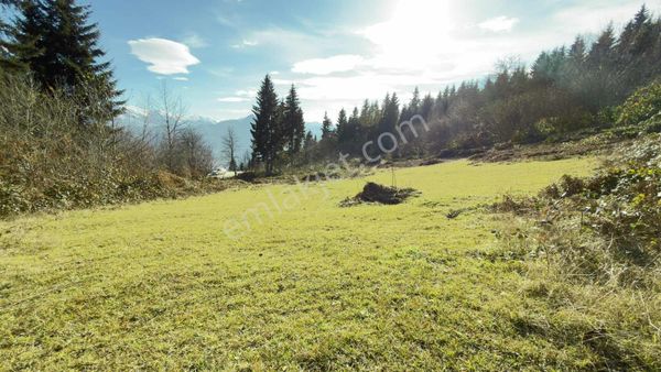 Trabzon Mataracıda Fırsat Arazi