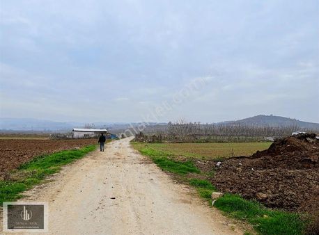 Bursa Yenişehir Afşar Mahallesinde Yolu Suyu Elektriği Var