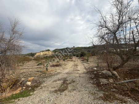 Derya Emlak’tan Mezitli Bozönde Köy İçi İmarlı Satılık Arsa