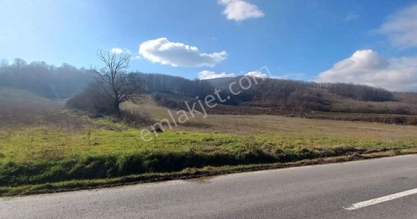 Akmeşe Cumhuriyet Mahallesi'nde Yolu Geçme Hakkı Alınmış Tarla