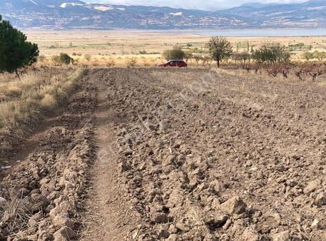 Göl Manzrarlı Tarla