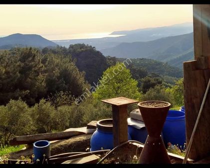 Doğanın İçinde Yaşama Hazırmısınız