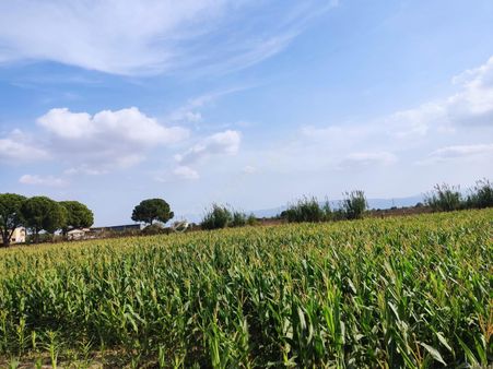 Century21 Işıltı'dan Söke Bodrum Yolu Üzerinde Yatırımlık Arazi