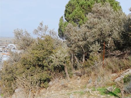 Century21 Işıltı'dan Koçarlı'da Satılık Zeytinlik