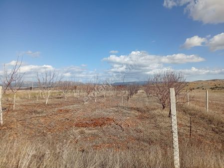 Antalya Korkuteli Kevzer Mahallesinde Satılık Tarla No.20573​