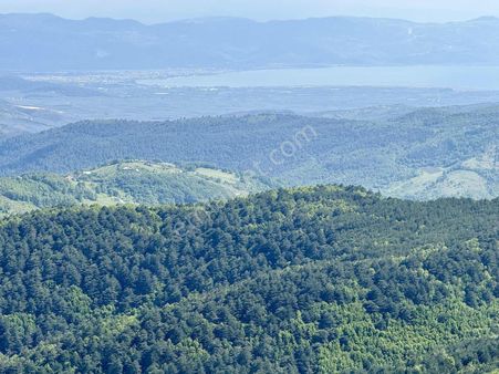 Osmaniye'de En Zirvede İznik Manzaralı, Havadar 4355 M2 Tarla