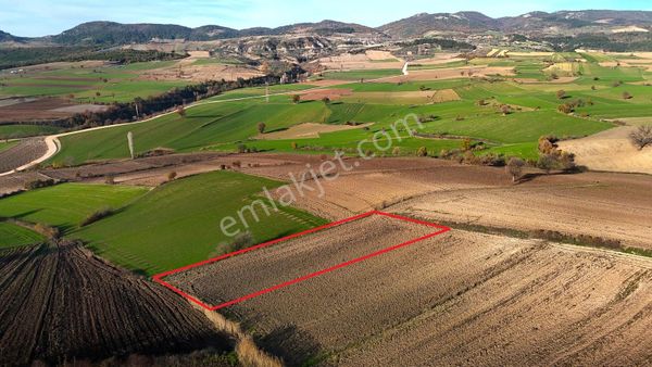 Yenişehir Kızılköy'de Resmi Yola Cepheli 2763 M2 Tarla