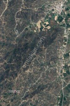 Yatırım İçin Kaçmaz Fırsat Zeytınlık