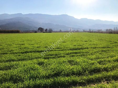 Verimli Tarla Her Mahsule Uygun