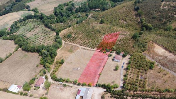 Remax Palas'tan Hendek Yeşilvadi De İmarlı 3940 M2 Satılık Arsa