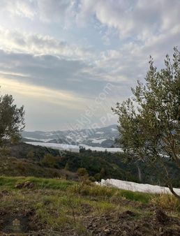 Full Deniz Manzaralı Sorunsuz