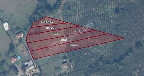 Remax Palas'tan Hendek Yeşilvadi De İmarlı 2580 M2 Satılık Arsa