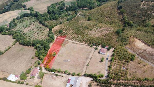 Remax Palas'tan Hendek Yeşilvadi De İmarlı 1560 M2 Satılık Arsa