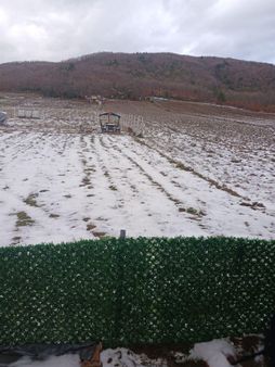 Kestel Gölcükte Hobi Bahçesi