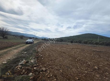 Sazköy De Yol Cepheli Satılık Tarla
