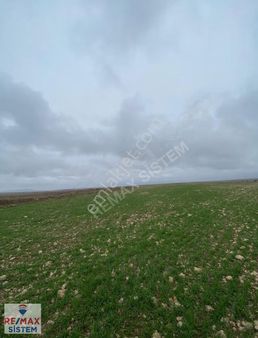 Afyonkarahisar Merkez Olcak Köyünde Satılık Tarla